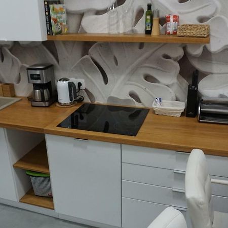 קרקוב Apartament Starowislna מראה חיצוני תמונה